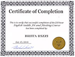 Saddle Fitting Certificate of Completion